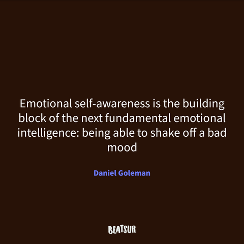 Emotional Intelligence: Why It Can Matter More Than IQ