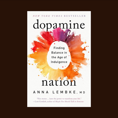 Dopamine Nation: Finding Balance in the Age of Indulgence