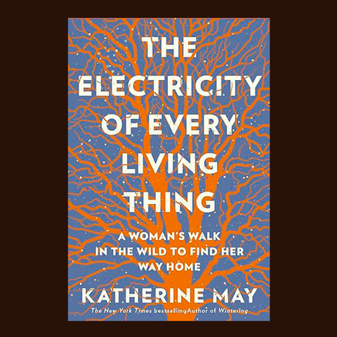 The Electricity of Every Living Thing